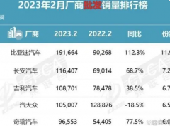 2号站商城2023年2月中国品牌乘用车销售简析